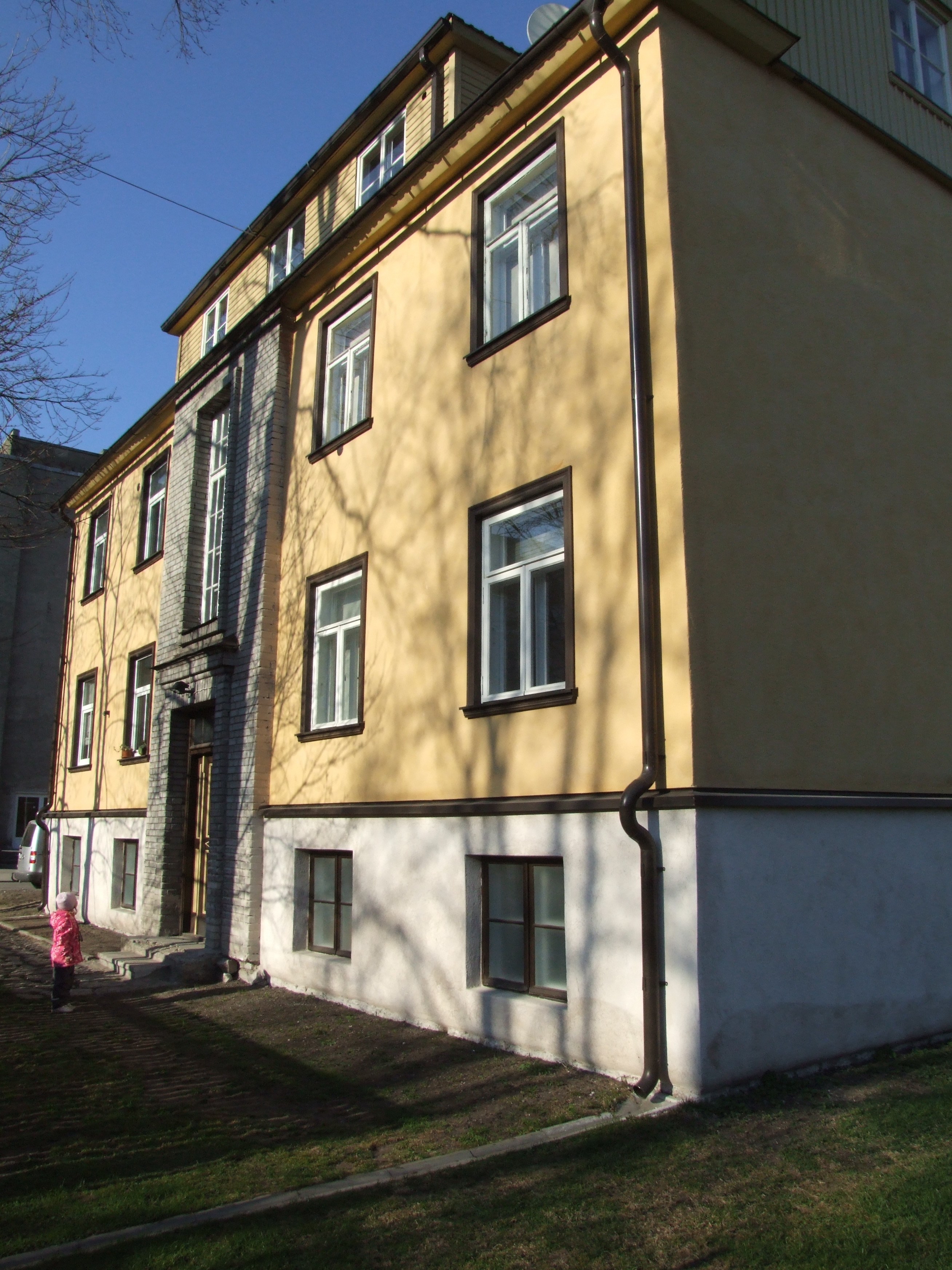 Krohvitud fassaad, 2009
